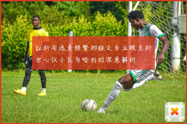 拉科布选秀频繁却缺乏专业眼光科尔心仪小瓦与哈利的深意解析